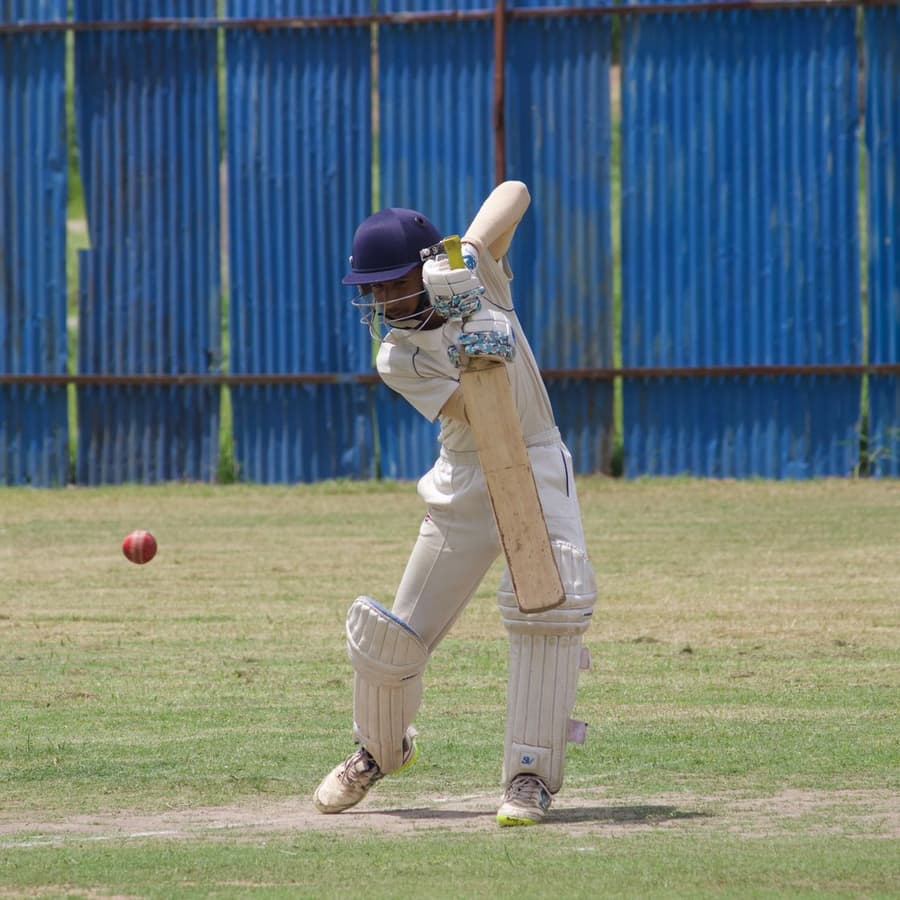 Cricket players
