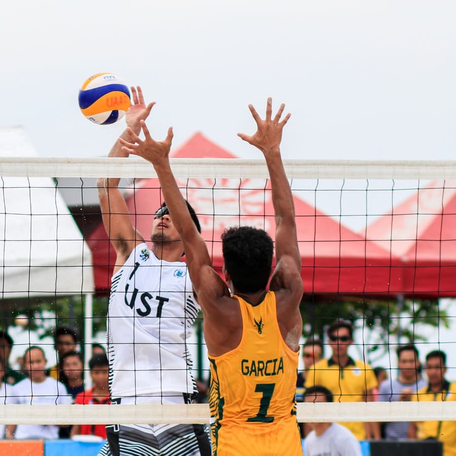 Volleyball players